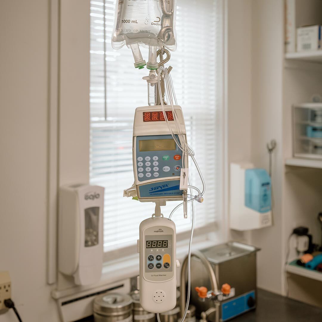 Iv Pole With Hanging Saline Bag And Pumps
